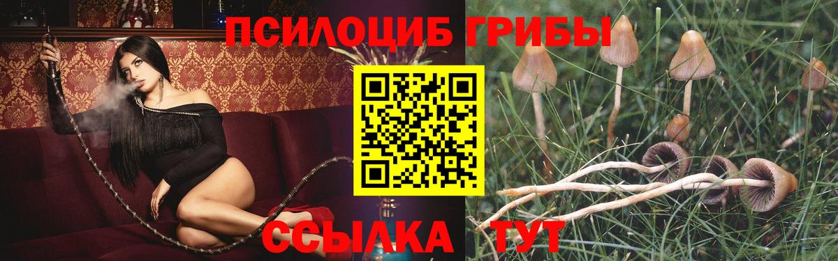Михайловка  Псилоцибиновые грибы GOLDEN TEACHER  купить   Вход с VPN 